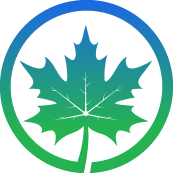 Elm Tree Pruning