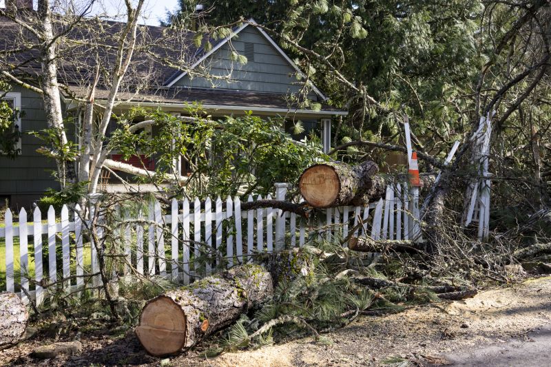 Apple Tree Removal in Bucks County, PA