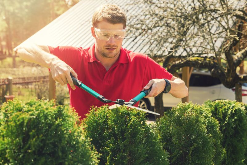 Bush Relocation in Aiken, SC