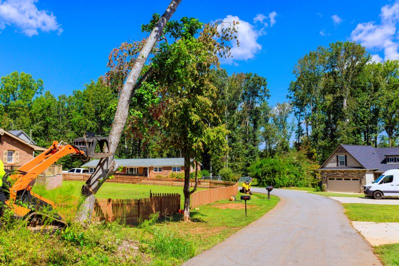 Heavy Equipment in Use